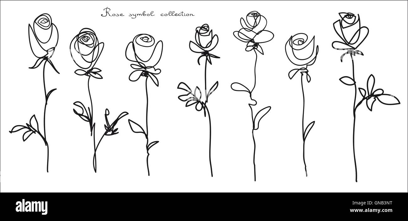 Roses. Collection de croquis de fleurs isolé sur fond blanc Illustration de Vecteur