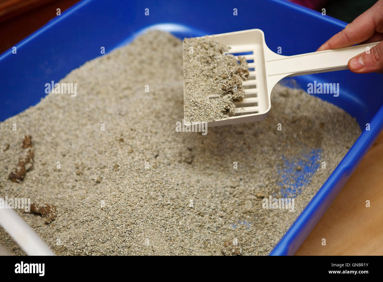 Pelle À Fiente De Poulet | Outil De Nettoyage De Litière De