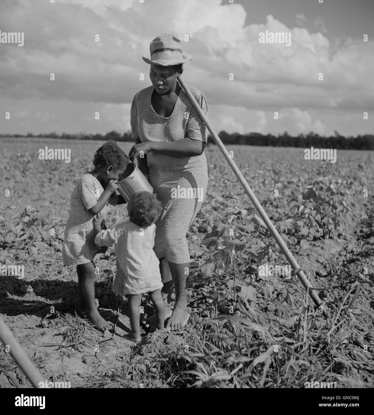 Femme qui donne de l'eau à ses deux enfants pendant qu'elle hante du coton, Allen Plantation Cooperative, près de Natchitoches, Louisiane, États-Unis, Marion Post Wolcott, États-Unis Administration de la sécurité agricole, juillet 1940 Banque D'Images