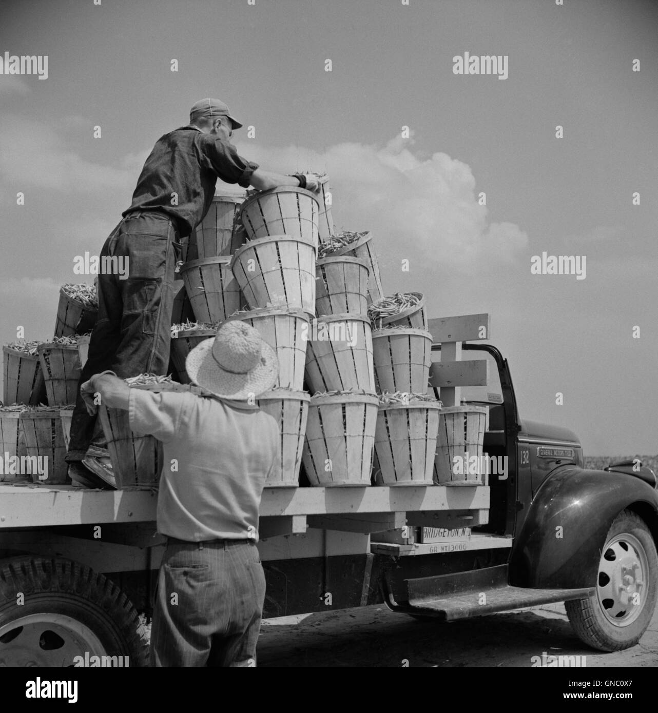 Camion chargé de boisseaux de haricots à cordes par deux jours de travail, vue arrière, Seabrook Farms, Bridgeton, New Jersey, États-Unis, Marion Post Wolcott, États-Unis Administration de la sécurité agricole, juillet 1941 Banque D'Images