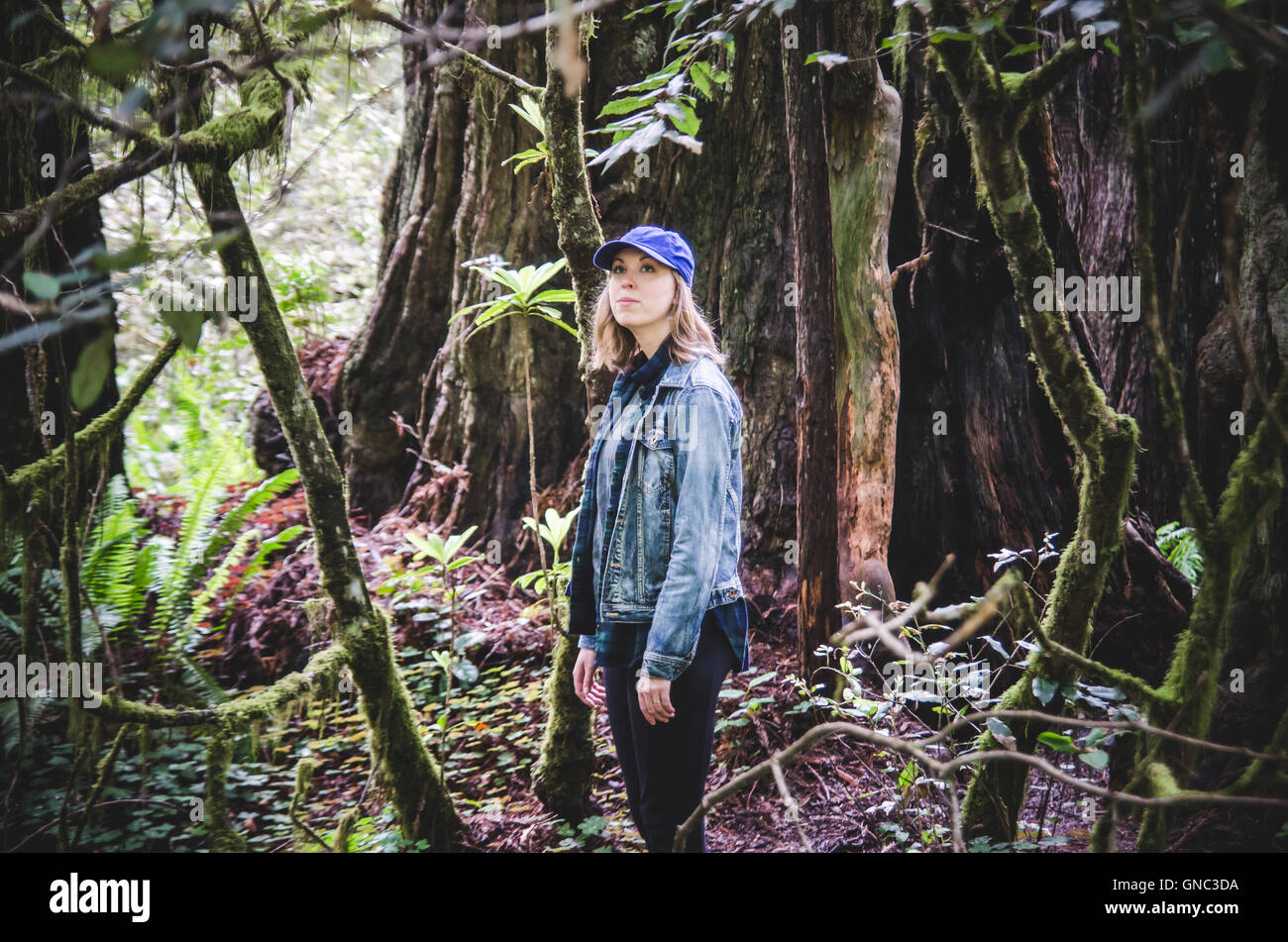 Jeune femme à la recherche, autour de l'État et national Redwood Park, California, USA Banque D'Images