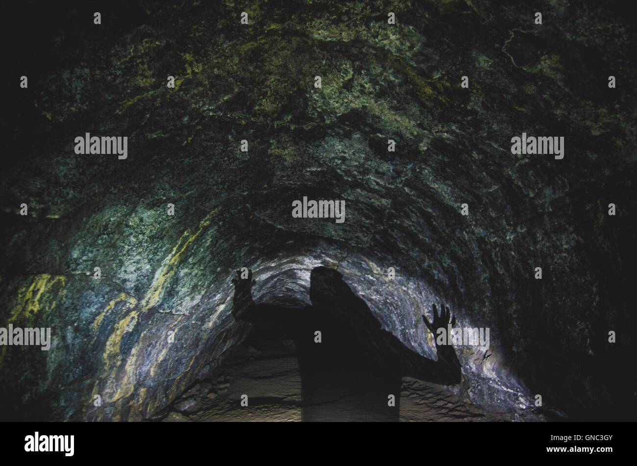 Ombre projetée sur mur de Lava River Cave, Bend, Oregon, USA Banque D'Images