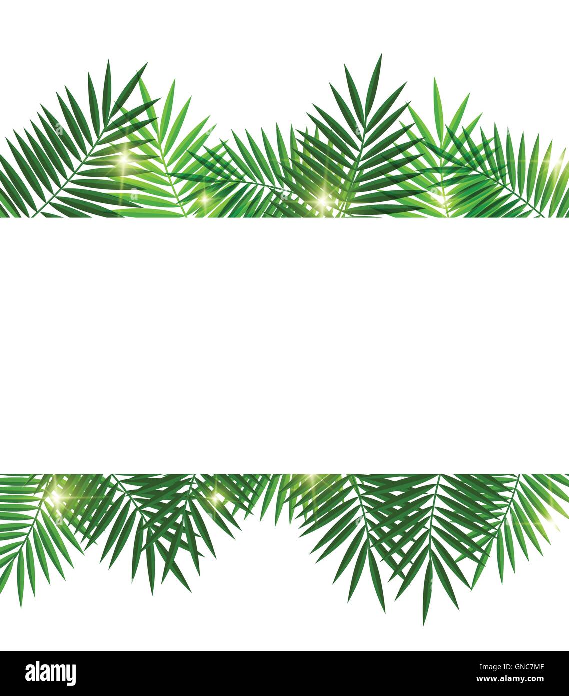 Feuilles de palmier sur fond blanc Illustration de Vecteur