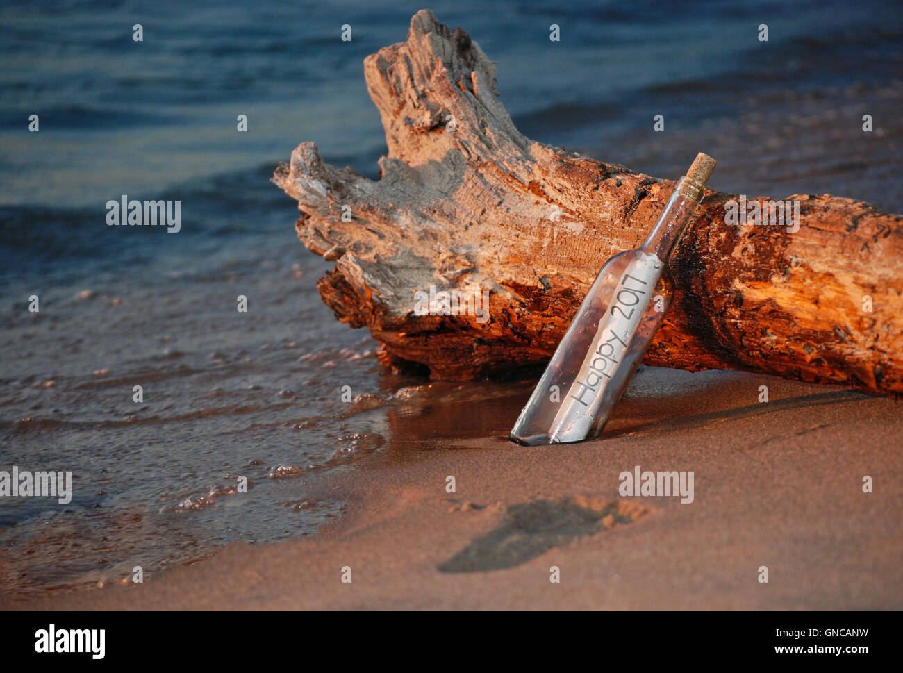 Message du Nouvel An dans une bouteille sur driftwood pour 2017. Banque D'Images