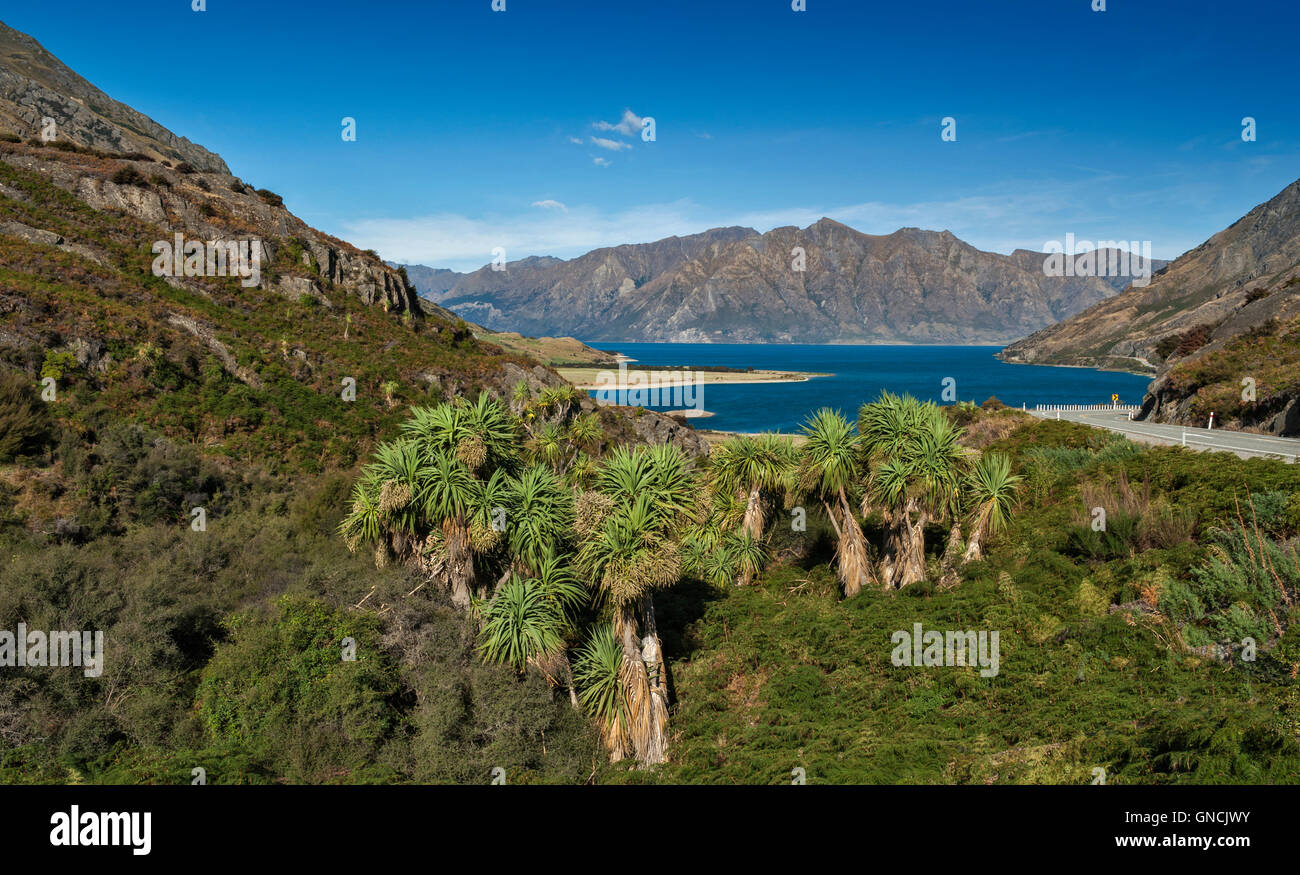 En vue d'un rebord rocheux appelé le cou se dresse entre le lac Wanaka et Hawea Lac à leur point le plus proche Banque D'Images