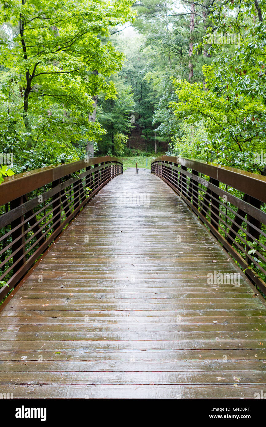 Passerelle en forêt entouré par les arbres sous la pluie Banque D'Images