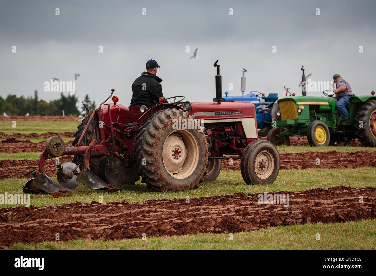 L'Île du Prince Édouard, Canada, Aug 27,2016. Concurrents à l'Île du Prince Édouard de labour et de la foire agricole Banque D'Images