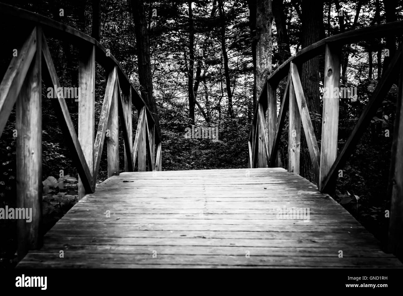 Dans les bois. Vue au niveau du sol de pont en bois, noir et blanc. Banque D'Images