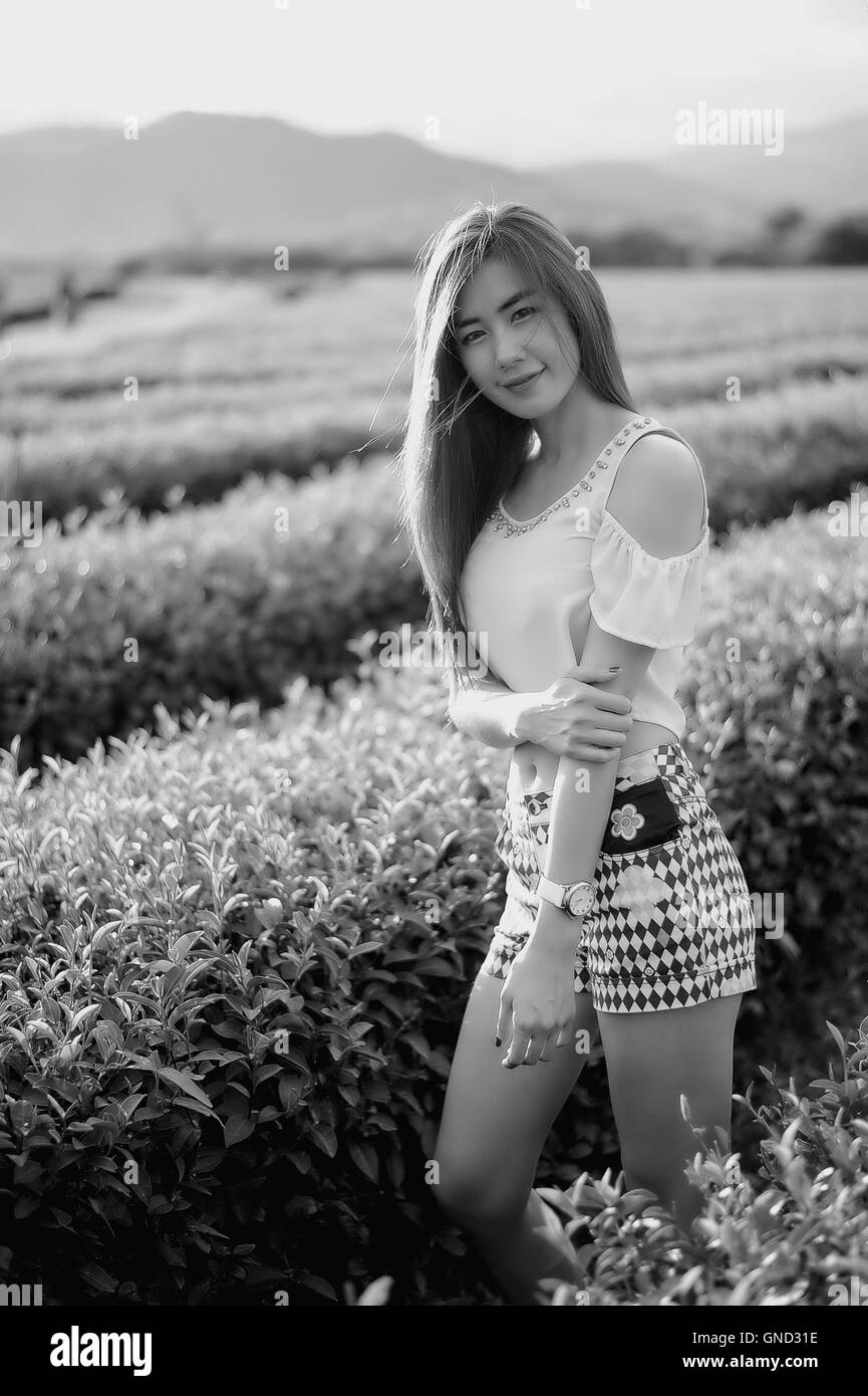Noir et blanc Portrait femme thaïlandaise dans la plantation de thé , Chiangrai Thaïlande Banque D'Images