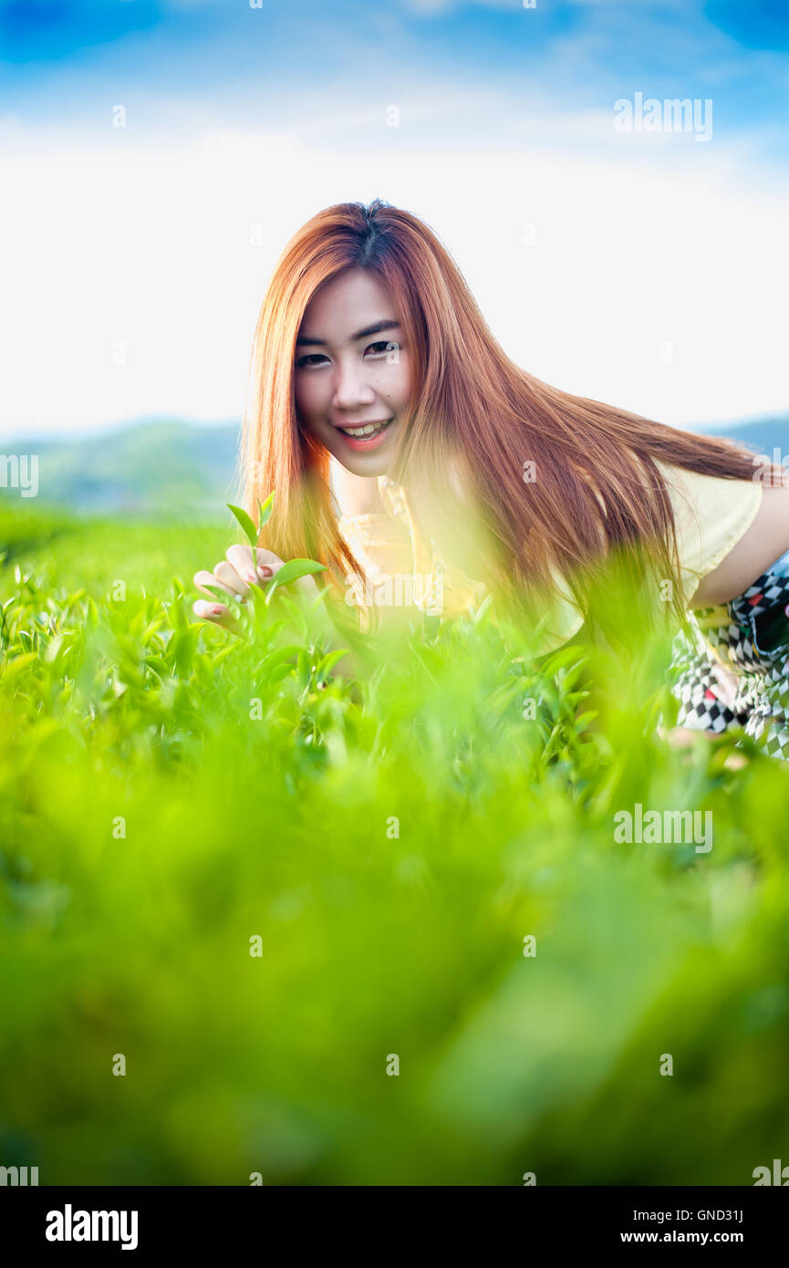 Sourire Thai girl dans la plantation de thé , Chiangrai Thaïlande Banque D'Images