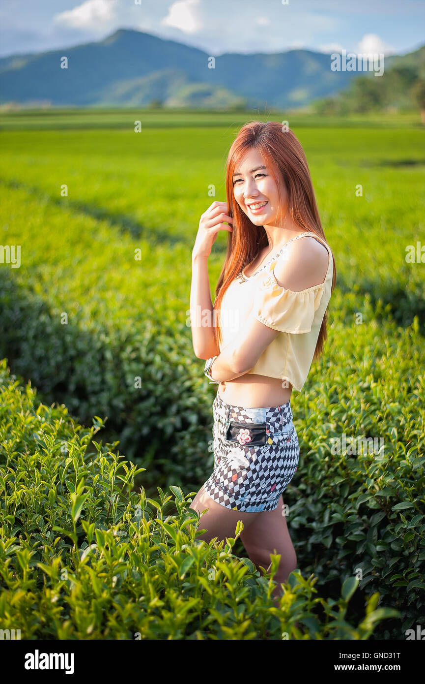 Portrait femme thaïlandaise dans la plantation de thé , Chiangrai Thaïlande Banque D'Images