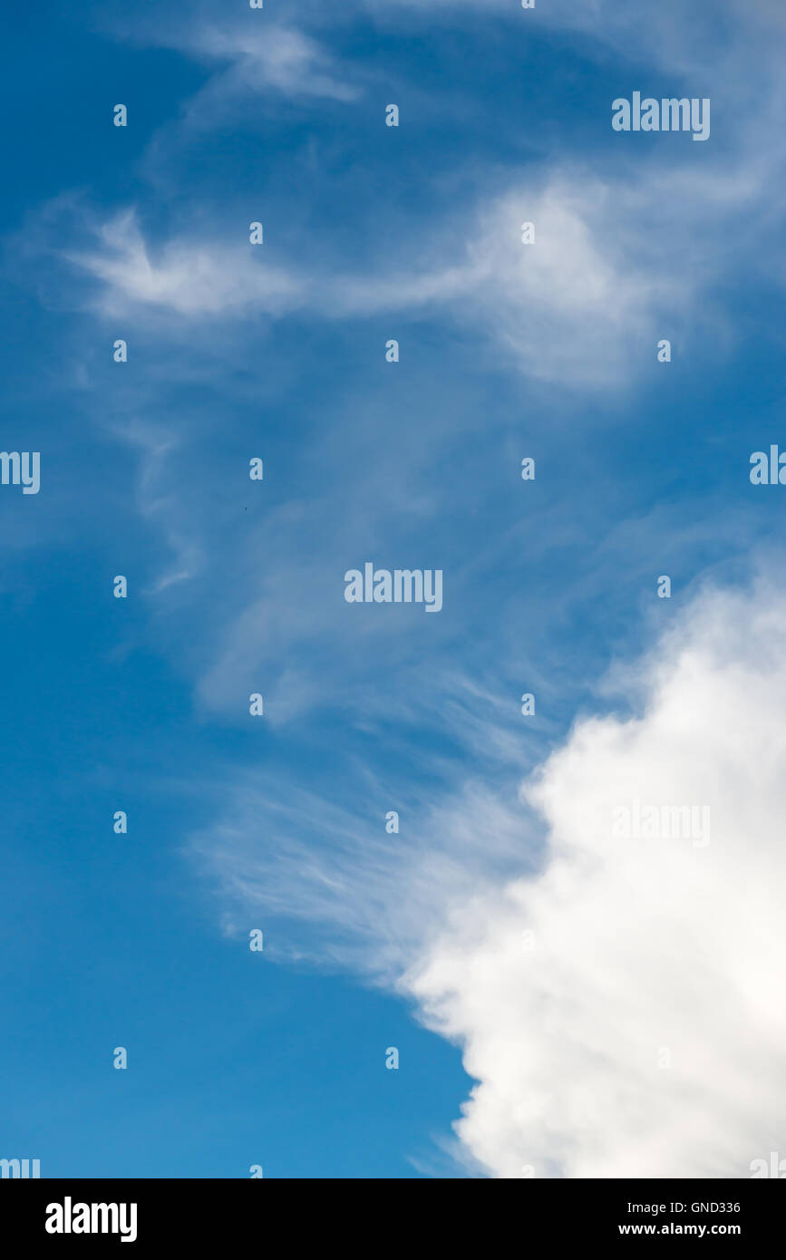 Beau ciel bleu avec des nuages blancs moelleux Banque D'Images