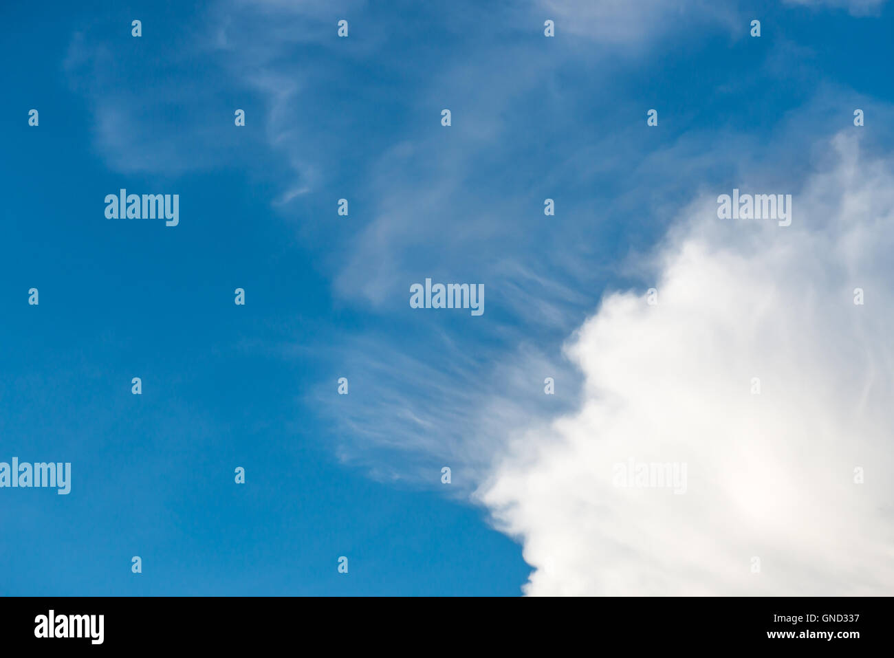 Beau ciel bleu avec des nuages blancs moelleux. Banque D'Images