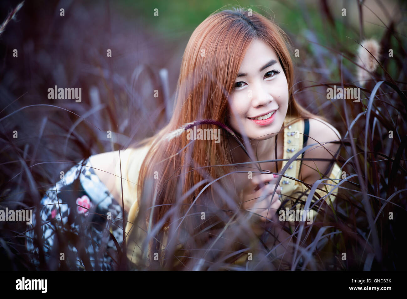 Portrait Thai belle fille s'asseoir sur l'herbe Banque D'Images