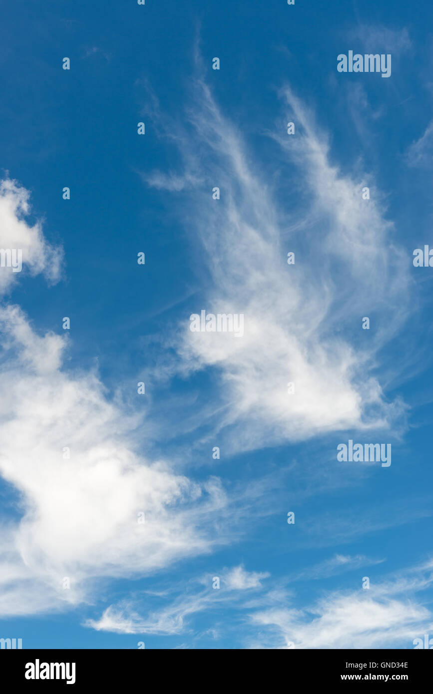 Beau ciel bleu avec des nuages blancs Banque D'Images