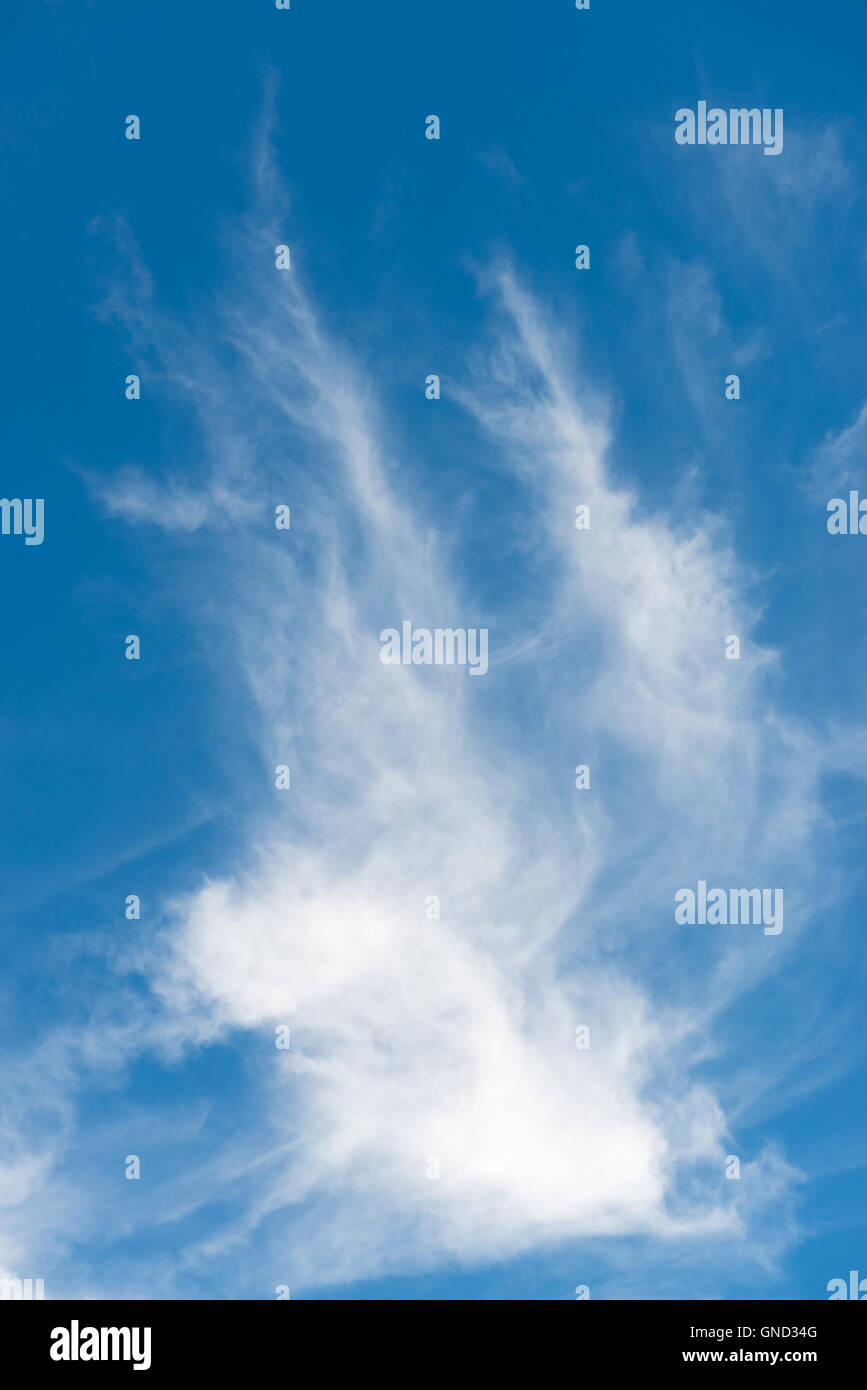 Beau ciel bleu avec des nuages blancs Banque D'Images