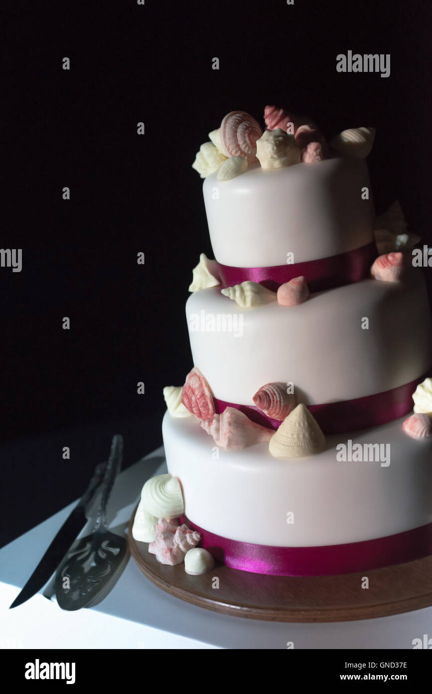 Le Gateau De Mariage Blanc Decoree Avec Le Sol Violette Et Sucre Coquilles Focus Selectif Photo Stock Alamy Le Gateau De Mariage Blanc Decoree Avec Le Sol Violette Et Sucre Coquilles Focus Selectif Photo Stock Alamy
