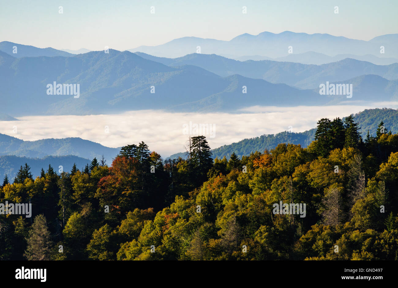 Great Smoky Mountains National Park Banque D'Images