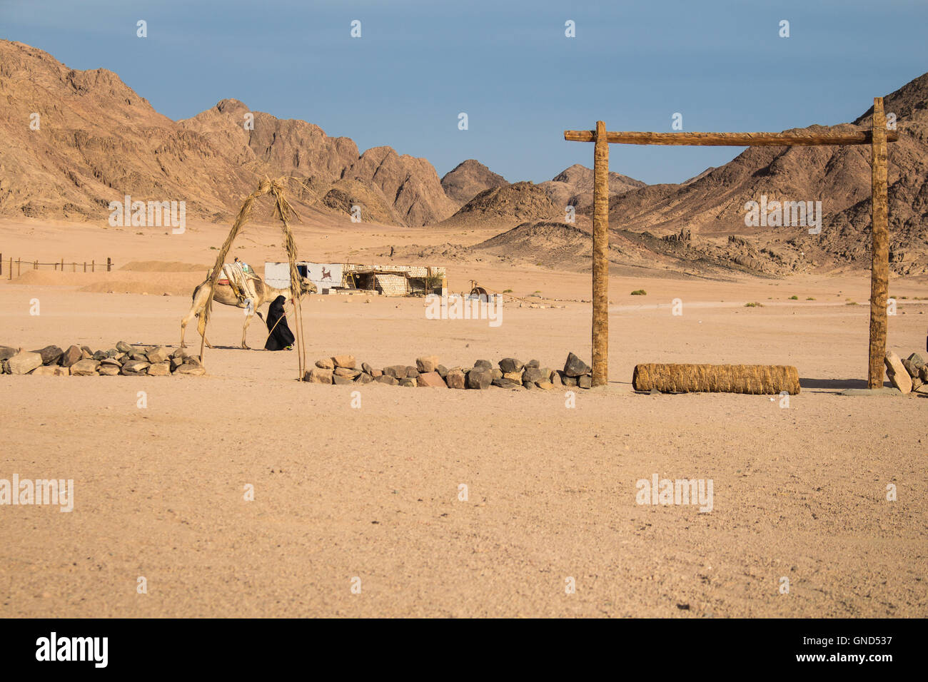 Village bédouin dans le désert en Égypte. Terrain d'avion et de hautes montagnes. Dame à chameau. Ciel nuageux en début de soirée. Banque D'Images