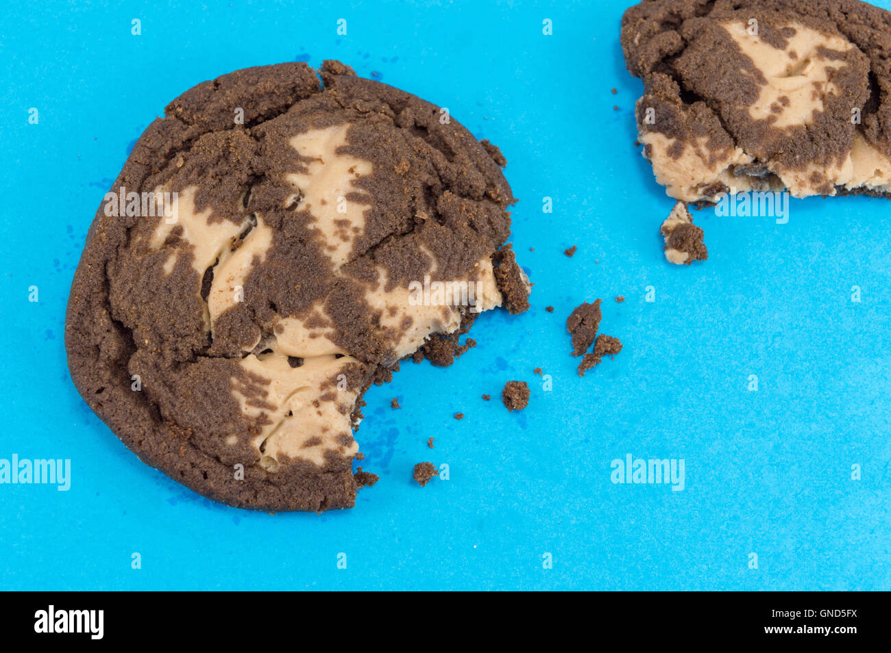 Chocolate Chip cookies marron sur fond bleu Banque D'Images