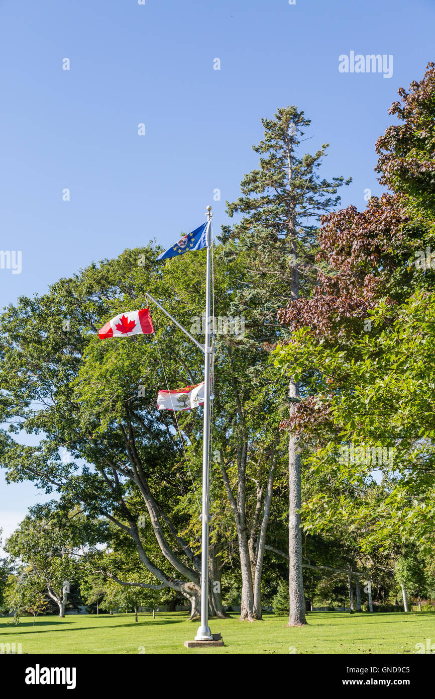 Drapeaux au Canada contre des arbres verts Banque D'Images