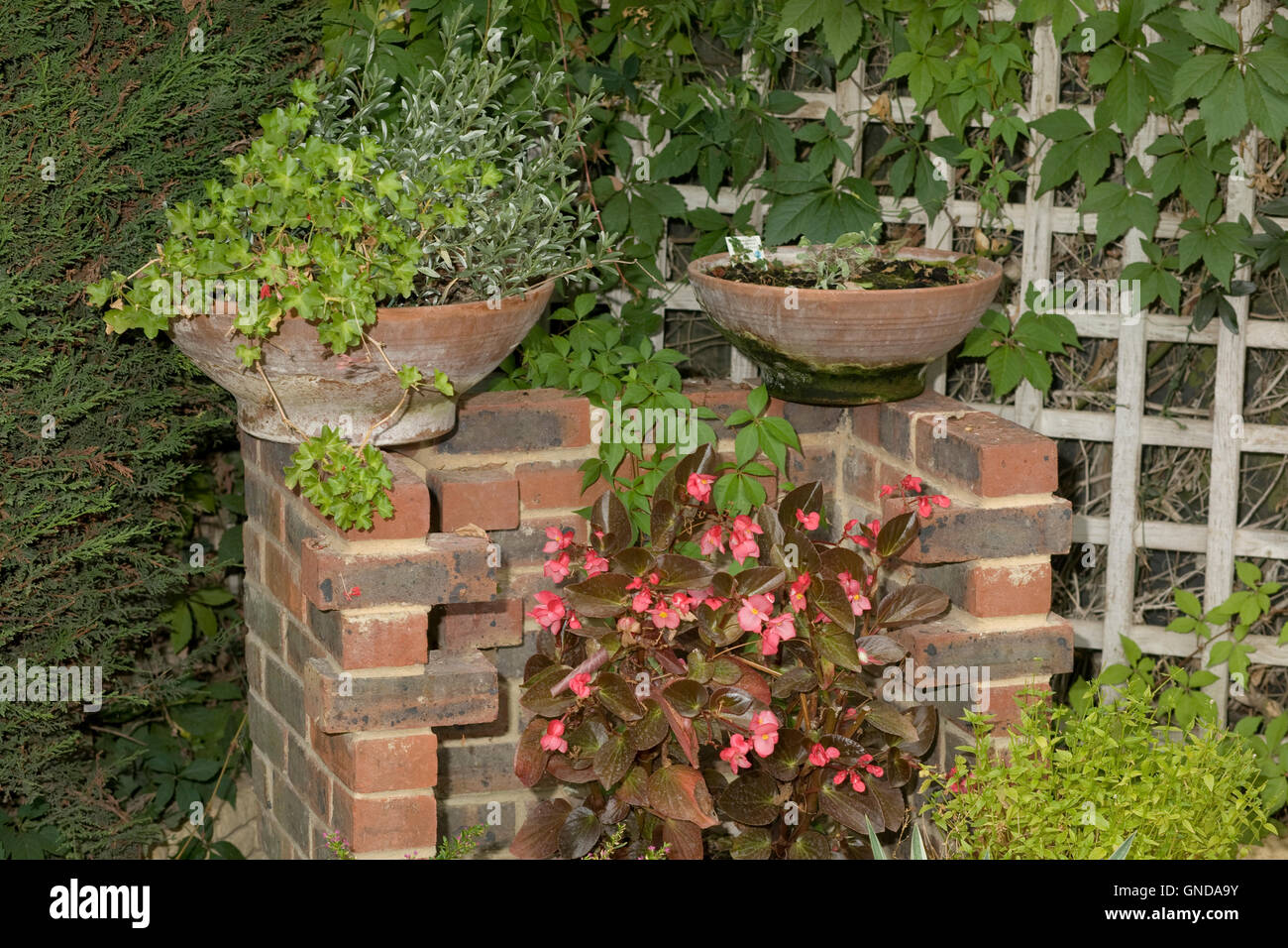 Afficher en briques et en treillis de jardin à thème à Earnley Oiseaux papillons et les Bêtes Banque D'Images