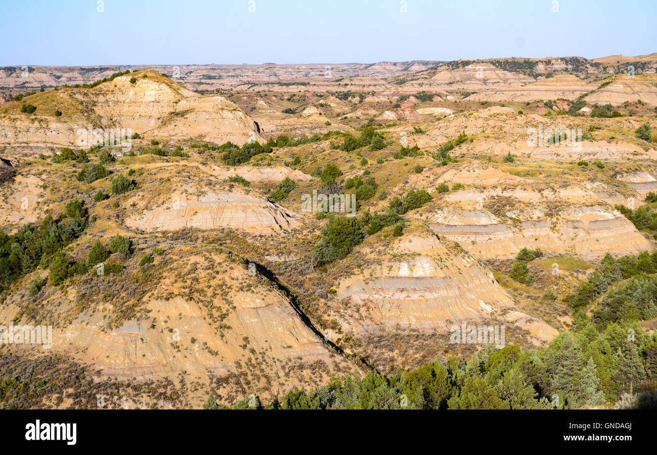 Patch Brodé Souvenir Parc National Theodore Roosevelt - À Repasser - Marque Blue Heron, Fabriqué Aux USA