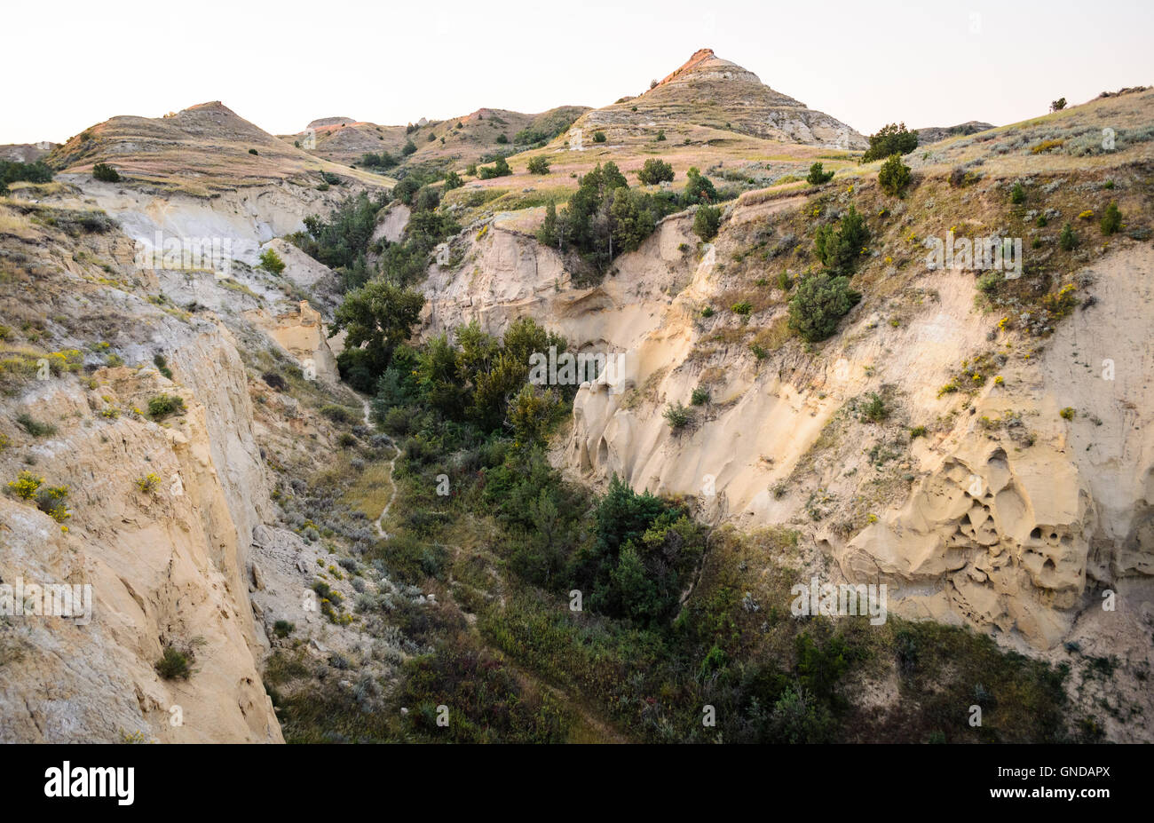 Parc National Theodore Roosevelt Banque D'Images