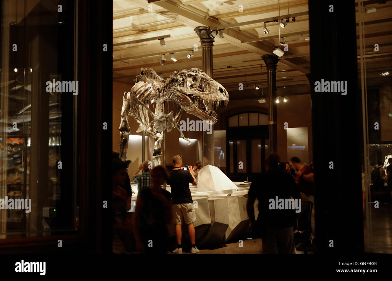 Berlin, Allemagne. Août 21, 2016. Les visiteurs regarder le squelette du dinosaure nommé 'Tristan Otto' au Musée d'histoire naturelle de Berlin, Allemagne, 21 août 2016. À une hauteur de quatre mètres et d'une longueur de 12 mètres, il domine l'exposition 'Tristian - Berlin porte dents' sur le dinosaure prédateur Tyrannosaurus rex, qui met en valeur les connaissances scientifiques. Le squelette a été trouvé en 2012 dans le Montana aux USA et est considéré comme un monde globalement trouver sans pareil. Photo : Jens Kalaene/dpa/Alamy Live News Banque D'Images