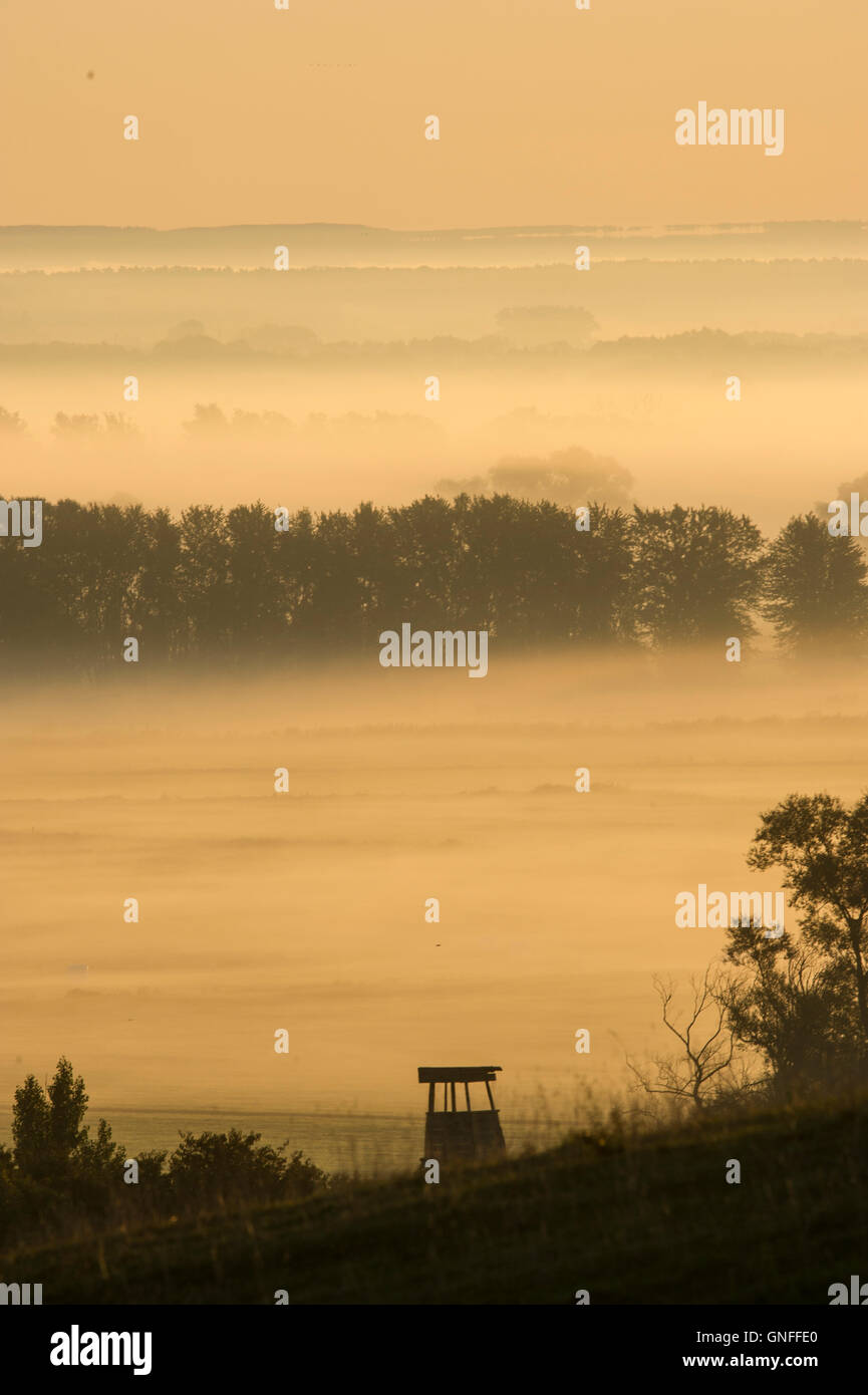 Garnison Niederfinow, Allemagne. Août 31, 2016. Brouillard au sol dense est éclairé par le soleil levant dans une vallée de la garnison du Niederfinow, Allemagne, 31 août 2016. Dpa : Crédit photo alliance/Alamy Live News Banque D'Images