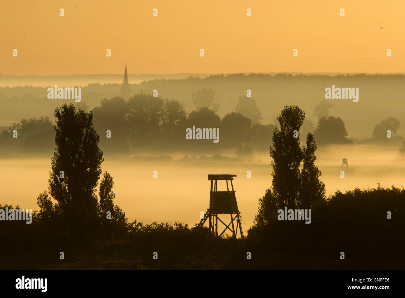 Garnison Niederfinow, Allemagne. Août 31, 2016. Brouillard au sol dense est éclairé par le soleil levant dans une vallée de la garnison du Niederfinow, Allemagne, 31 août 2016. Dpa : Crédit photo alliance/Alamy Live News Banque D'Images