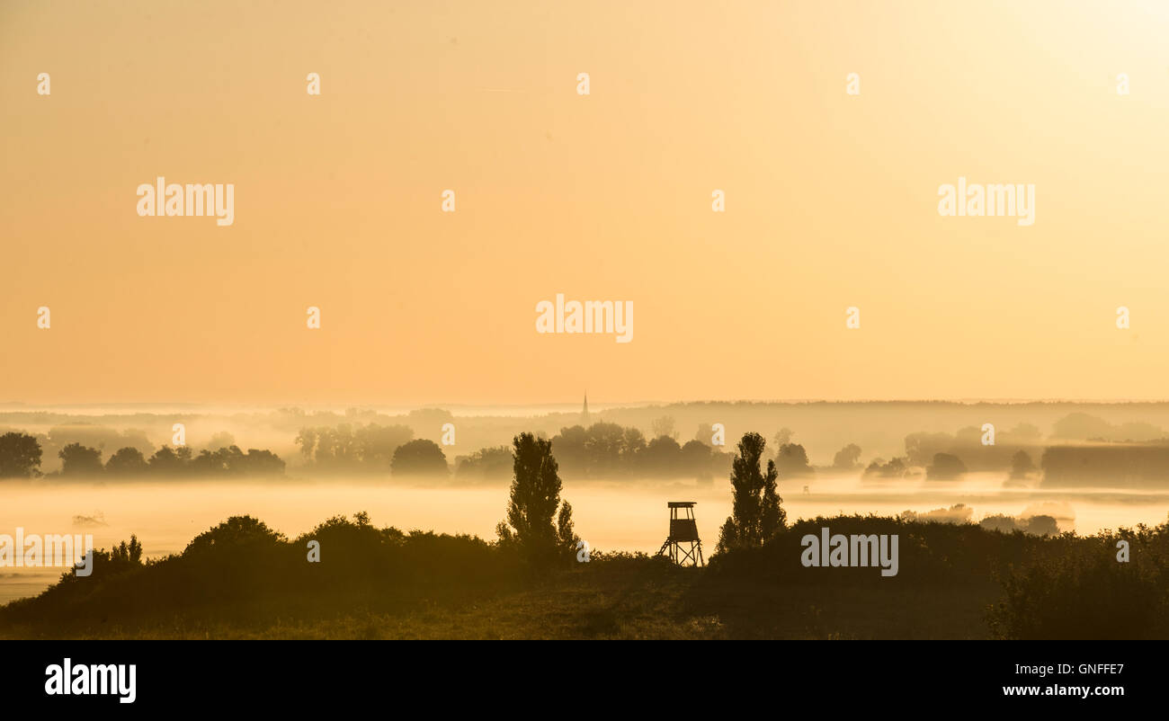 Garnison Niederfinow, Allemagne. Août 31, 2016. Brouillard au sol dense est éclairé par le soleil levant dans une vallée de la garnison du Niederfinow, Allemagne, 31 août 2016. Dpa : Crédit photo alliance/Alamy Live News Banque D'Images