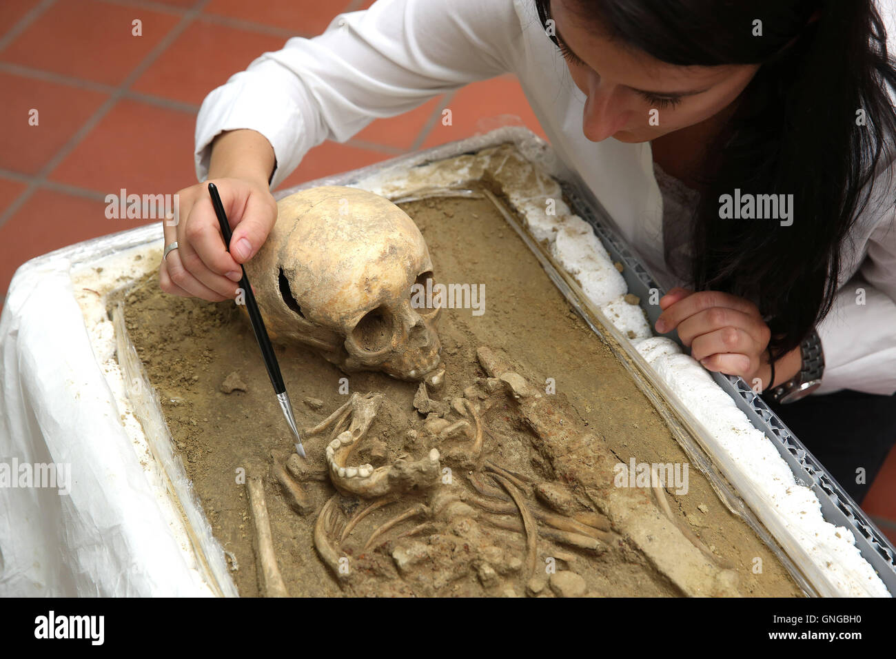 Squelette d'une jeune fille la tombe de l'enfant à partir du 7e siècle, 2014 Banque D'Images
