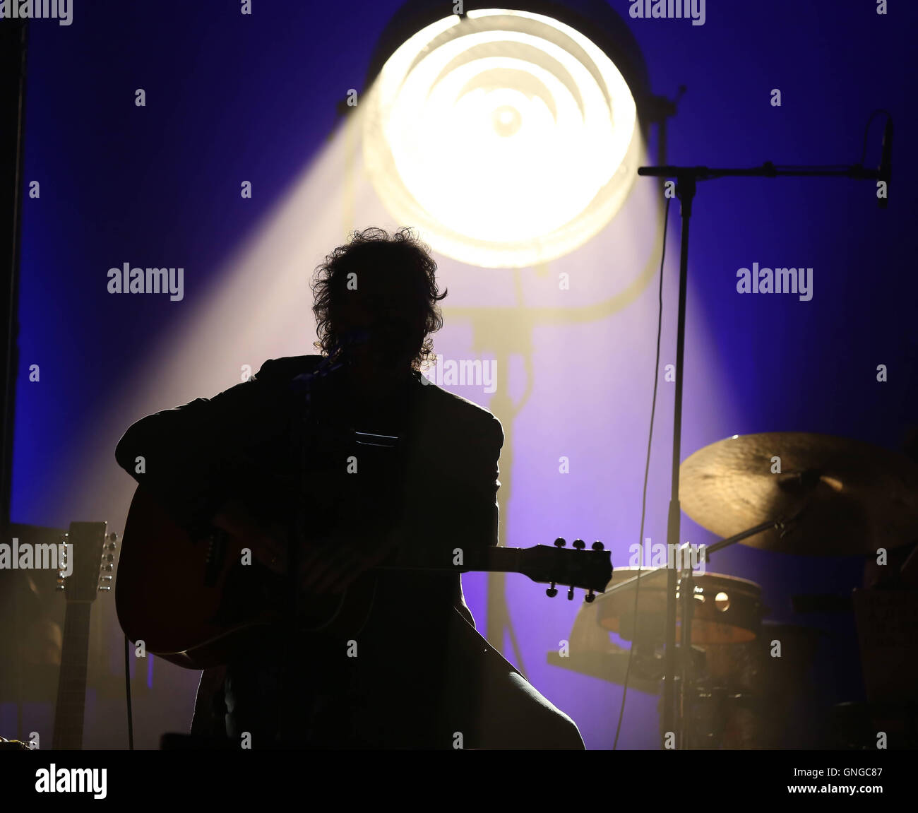 Wolfgang Niedecken lors d'un concert de BAP à Munich, 2014 Banque D'Images