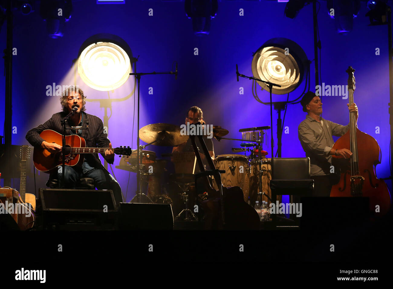 Wolfgang Niedecken lors d'un concert de BAP à Munich, 2014 Banque D'Images