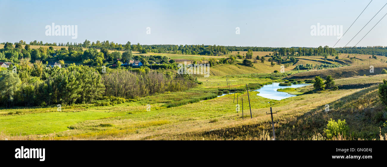 Meadows dans Gorodkovo Bolshoe - Kursk region, Russie Banque D'Images