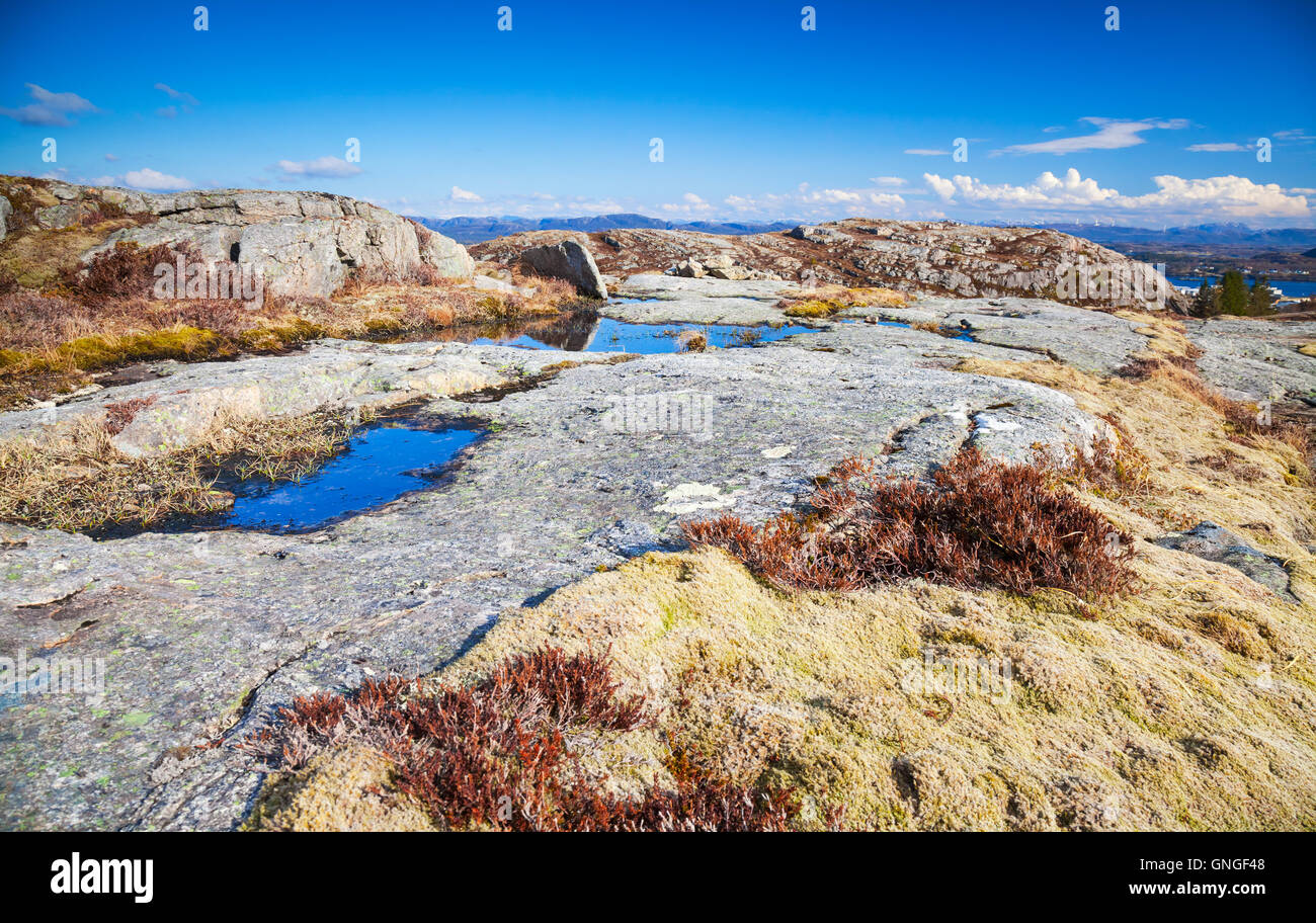 Le nord de la Norvège au printemps. Paysage de montagne avec de petites flaques sur les roches Banque D'Images