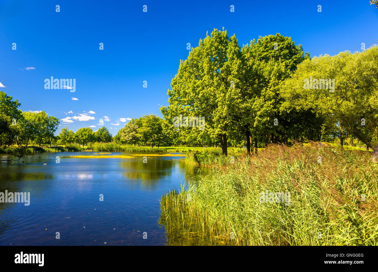 Étang de Olga à Peterhof - Russie Banque D'Images