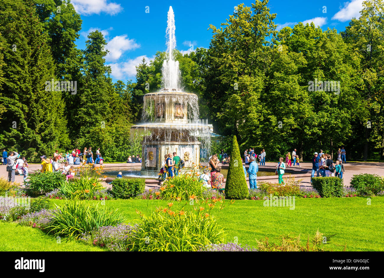 La fontaine romaine dans les jardins de Peterhof - Russie Banque D'Images