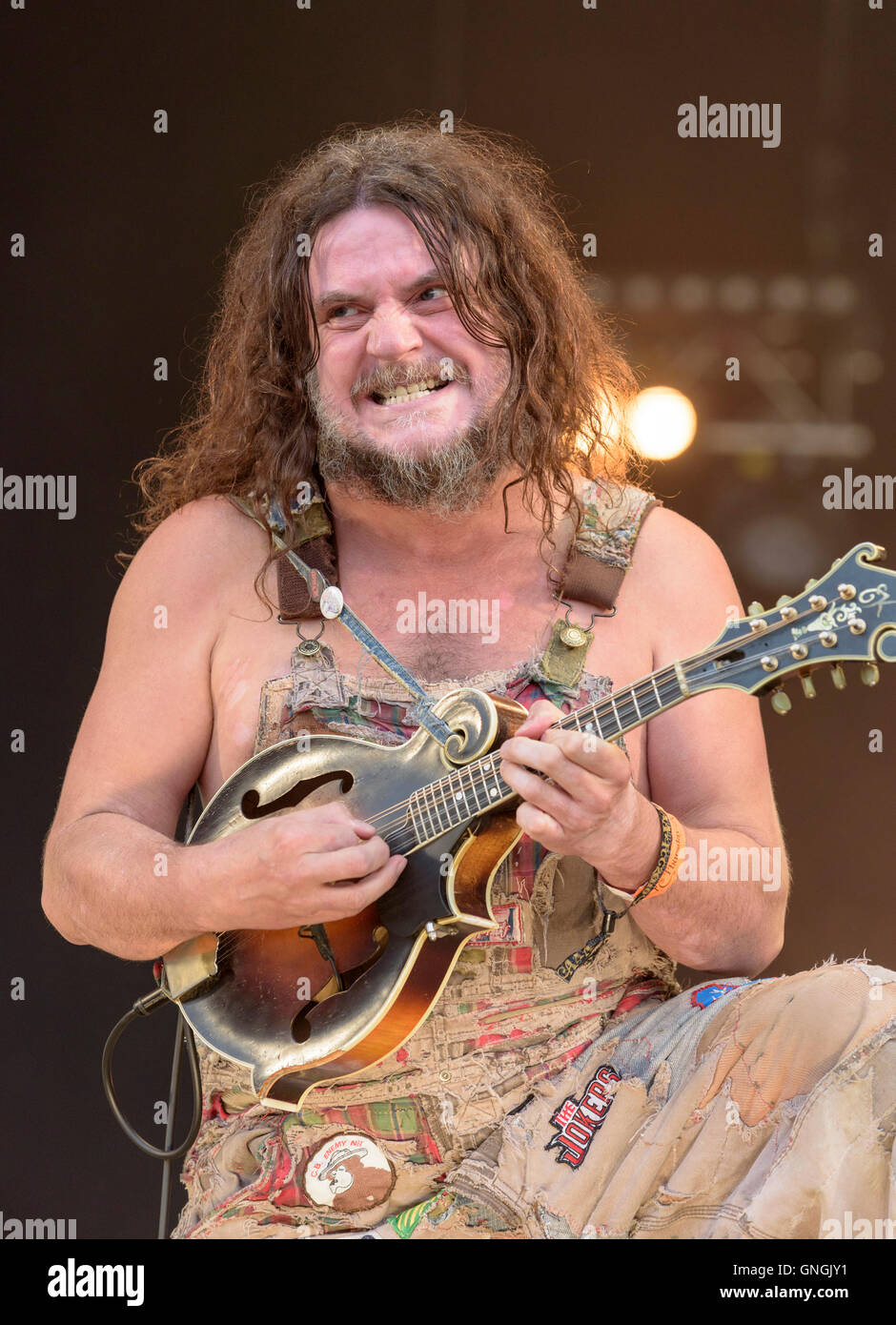 Joe Hippie de Hymas Bugo effectuant à Fairport's Cropredy Convention, Banbury, Angleterre, Royaume-Uni. 11 août 2016 Banque D'Images