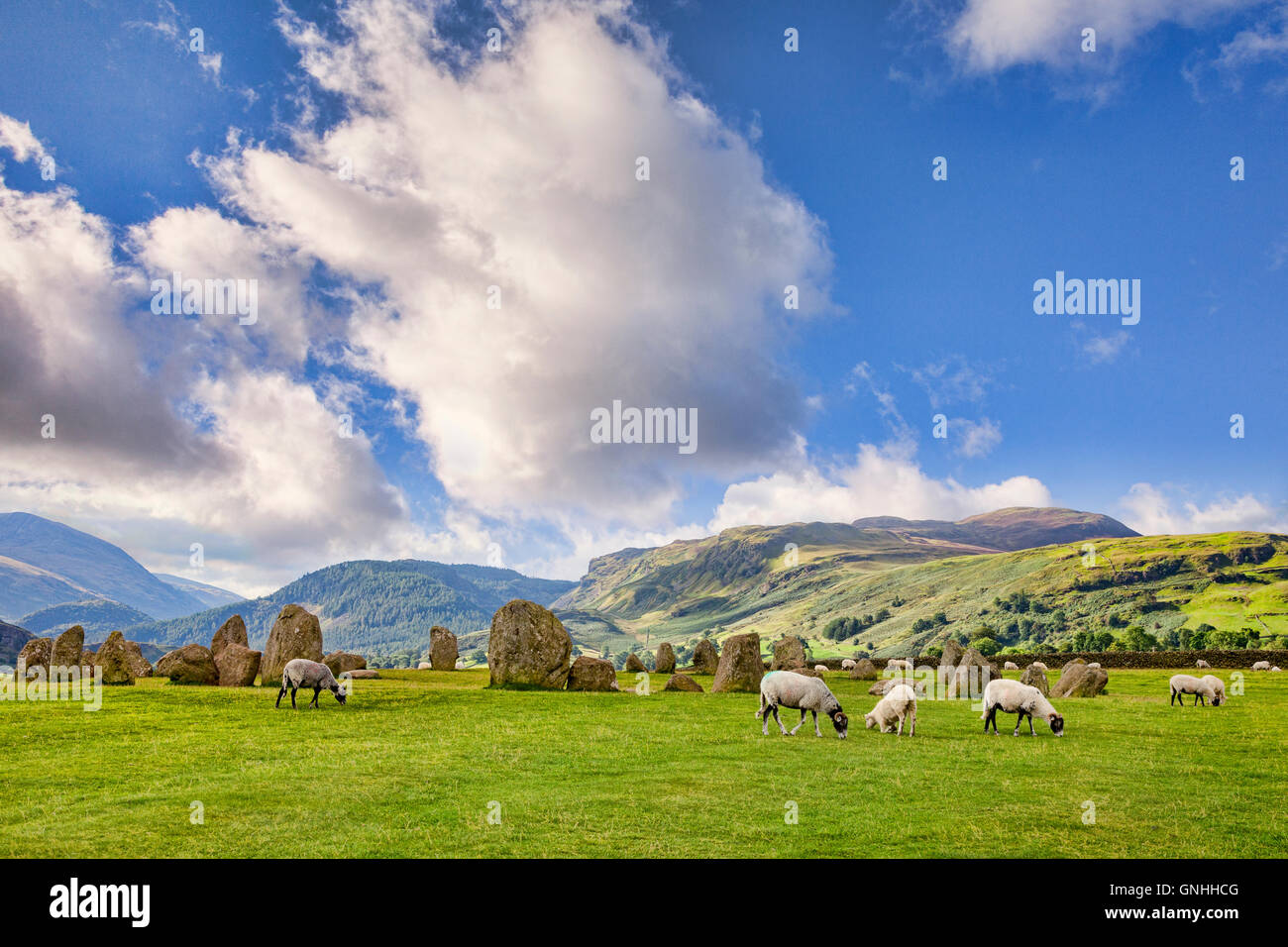 Cercle de pierres de Castlerigg et moutons, Cumbria, England, UK Banque D'Images