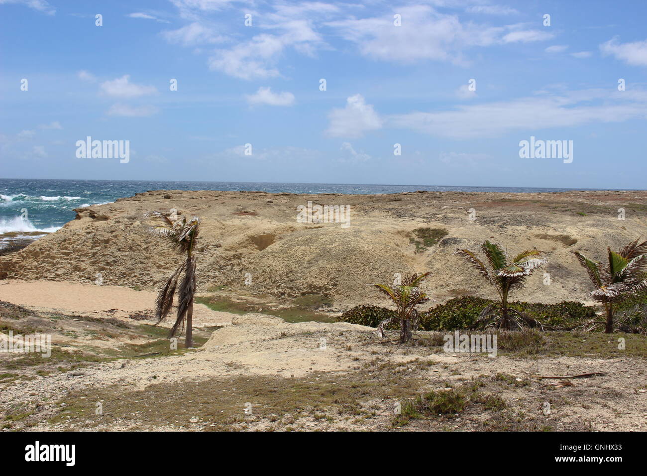 Little Bay en Barbade, Caraïbes Banque D'Images