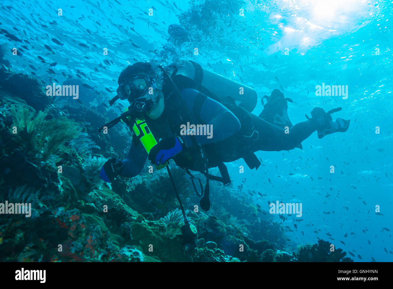 L'ÎLE DE BALI, INDONÉSIE - 20 août 2008 : natation plongeur inconnu près de coral reef avec réservoir de rechange Banque D'Images