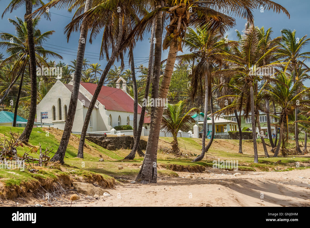 Église parmi les cocotiers Barbade Antilles Banque D'Images