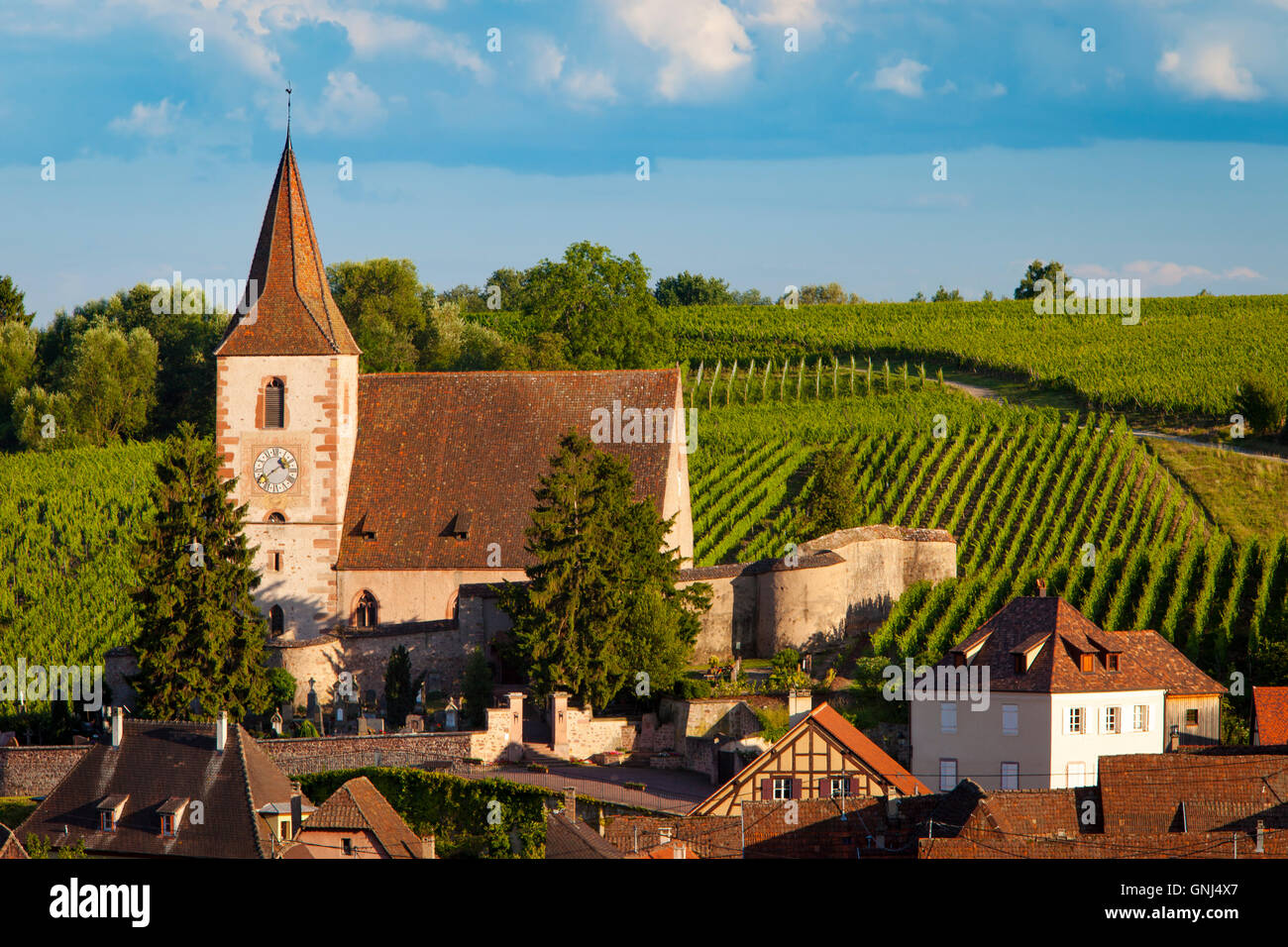 Vue sur Ville de Hunawihr le long de la route des vins, Alsace, Haut-Rhin, France Banque D'Images