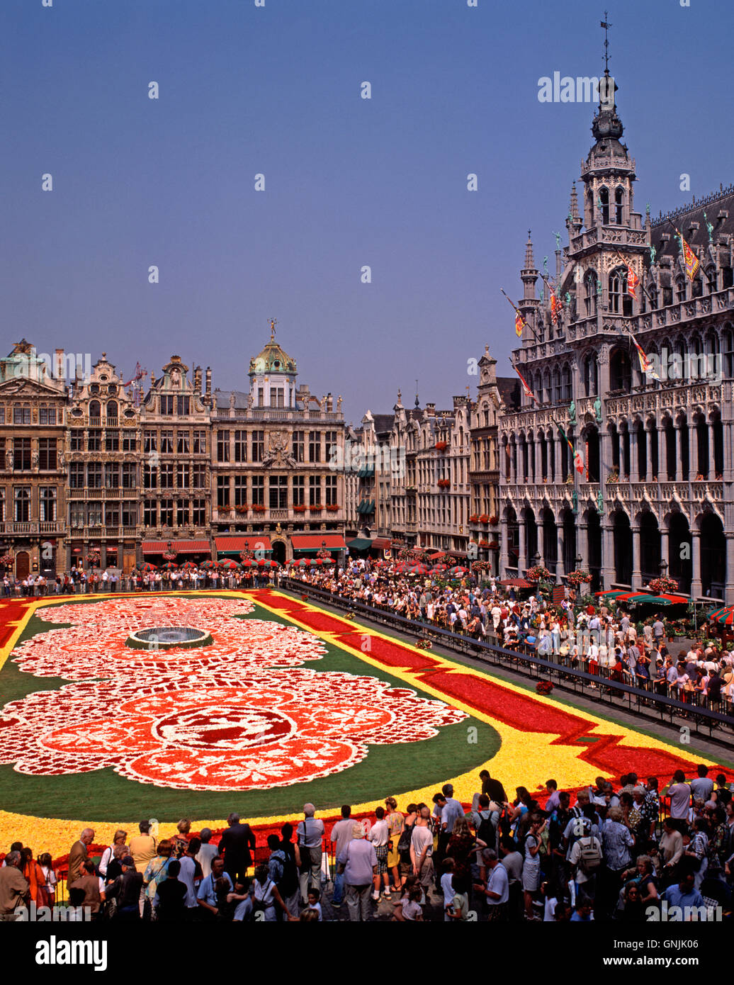 Tapis de fleurs à la Grand Place, Bruxelles, Belgique Banque D'Images