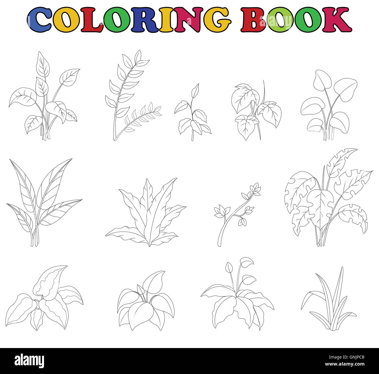 Jeu de coloriage de plante tropicale Illustration de Vecteur