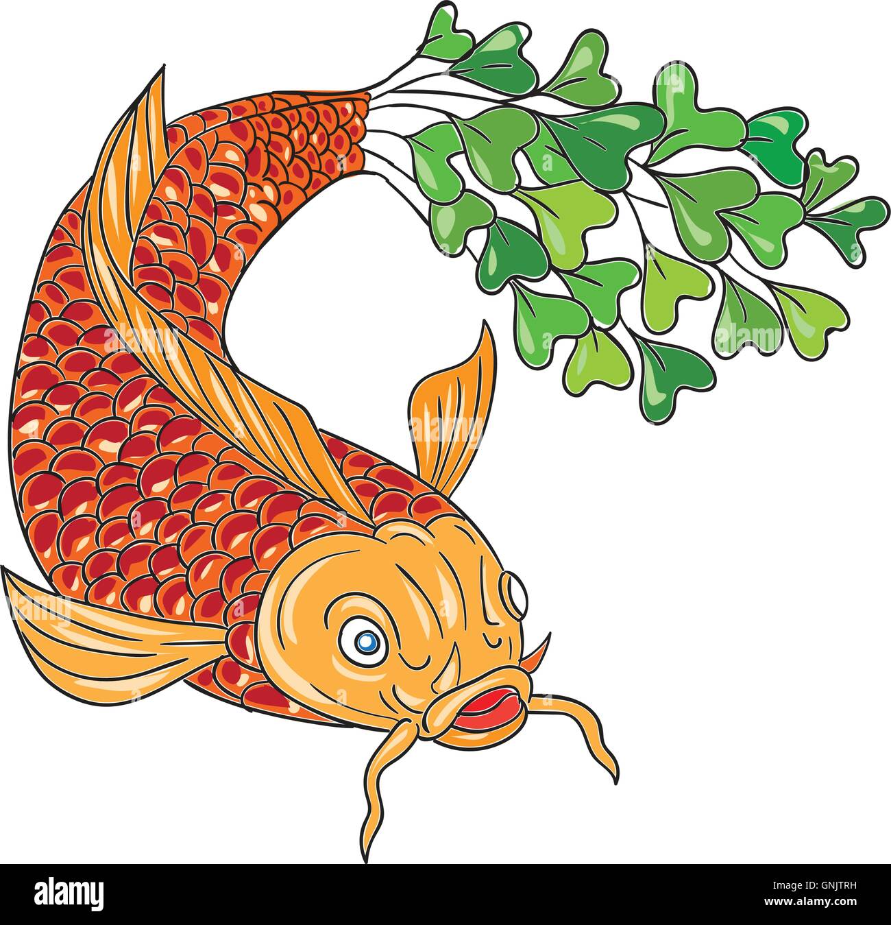 La carpe koï Nishikigoi Microgreen Dessin queue de poisson Illustration de Vecteur
