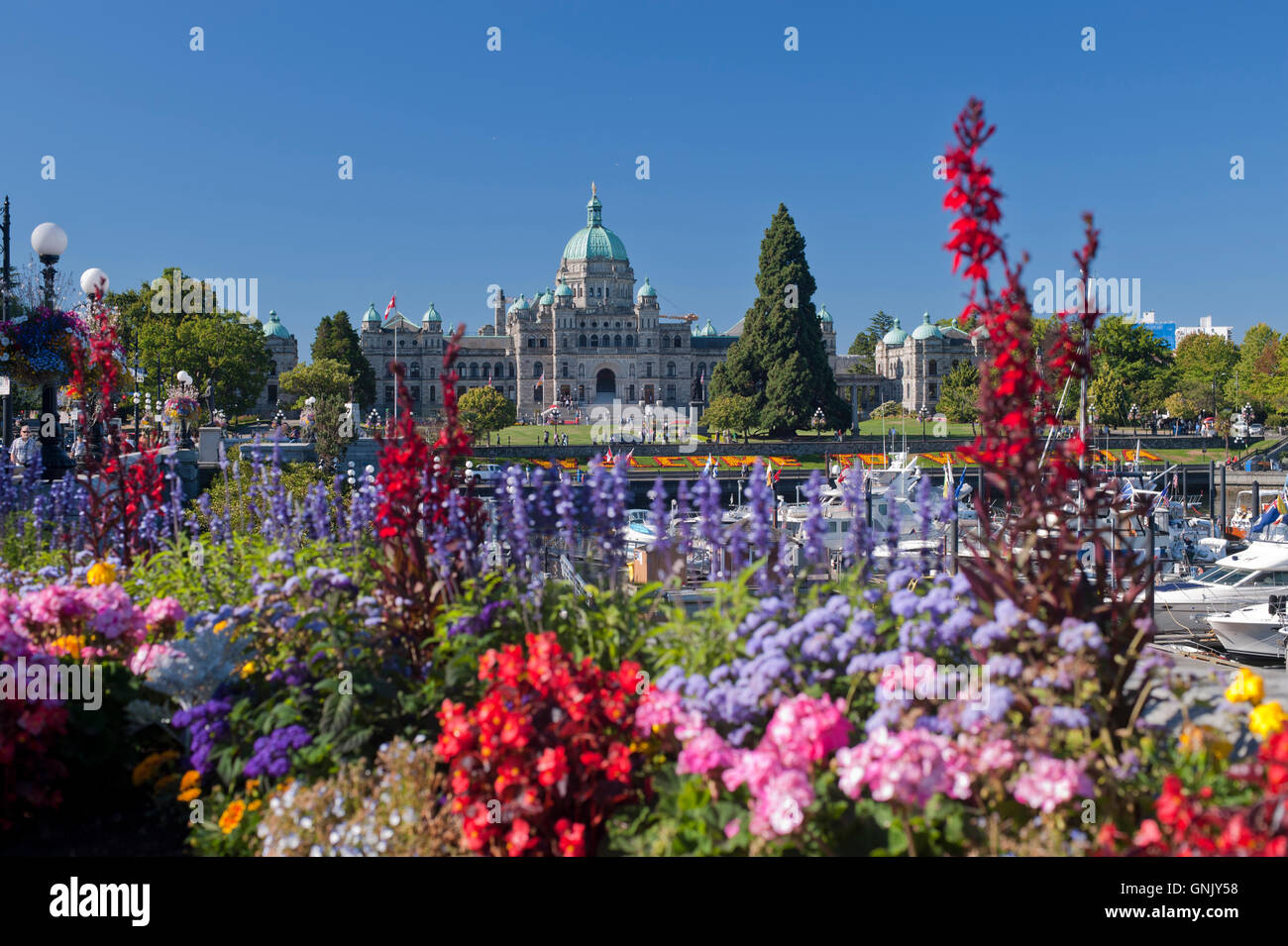 Assemblée législative de la Colombie-Britannique, Victoria, BC, Canada fleurs en premier plan Banque D'Images
