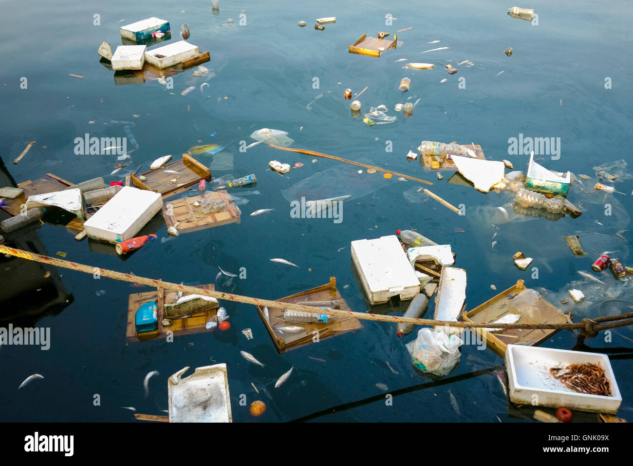 La pollution marine, des déchets et d'ordures, de poissons morts flottant dans la mer, l'Espagne. Banque D'Images